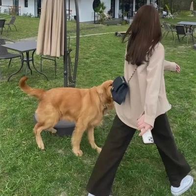 樱桃派